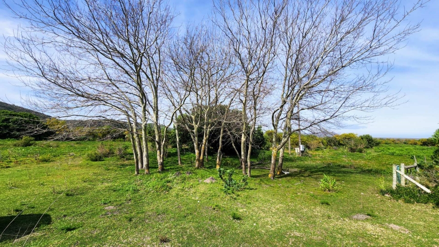 5 Bedroom Property for Sale in Uilenkraalsmond Western Cape